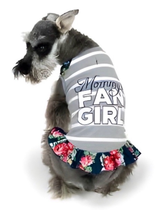 Vibrant Life Other - Vibrant Life Dog Mommy's Fan Girl Tank Dress